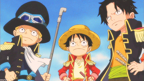 Ace Luffy Sabo GIFs  Find Share on GIPHY