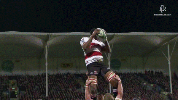 What is a lineout in rugby - Contesting for the ball