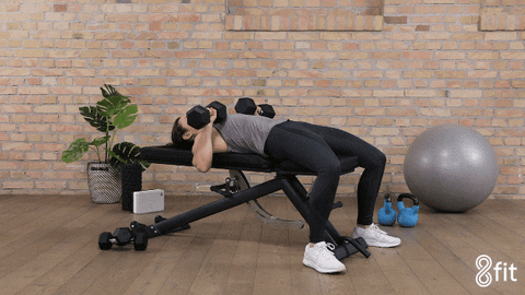 At Home Workout GIF by 8fit - Find & Share on GIPHY