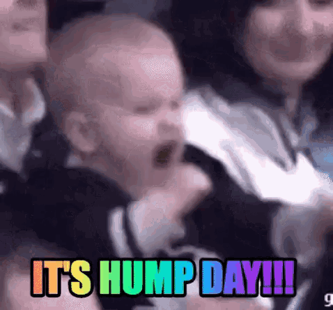 giphy.gif