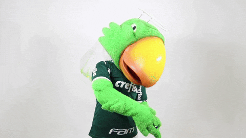Casa Comigo Love GIF by SE Palmeiras