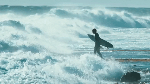Hawaii surfing gif