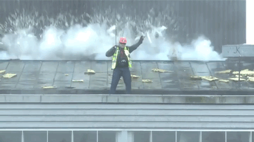 мужчины живут меньше, почему мужчины живут меньше женщин, доказательства мужчины живут меньше