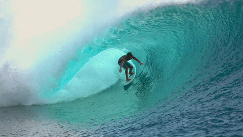 Surf Gifs Find Share On Giphy