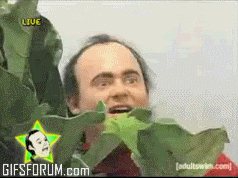 [Εικόνα: giphy.gif]