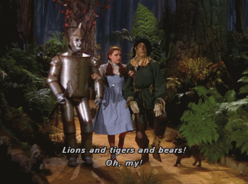 Image result for gif of wizard of oz lions and tiger and bears