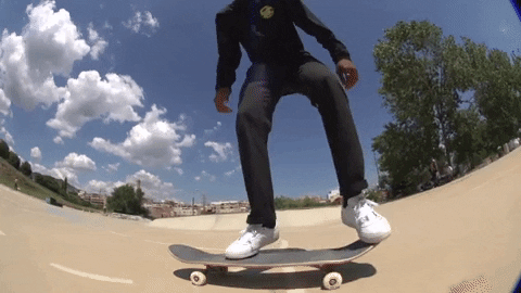 Santa Cruz Skateboards GIFs - Find & Share on GIPHY