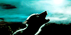 Remus Lupin as a howling werewolf in Prisoner of Azkaban