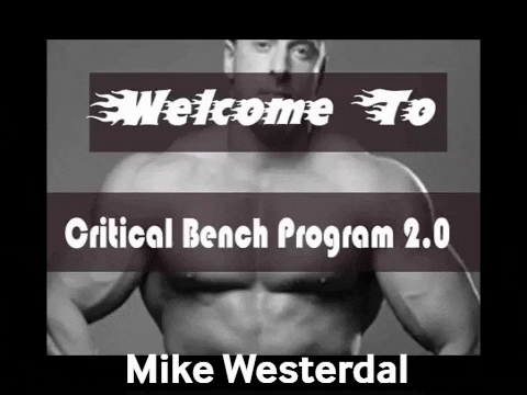 Critical-Bench-Program-2.0