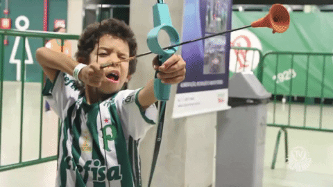 Palmeiras vence o Santos e coloca a mão na taça; São Paulo e Flamengo ficam no empate
