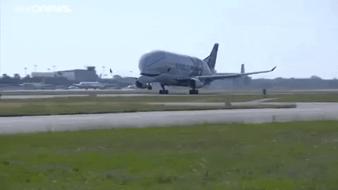 Take Off Plane GIF by euronews - Find & Share on GIPHY
