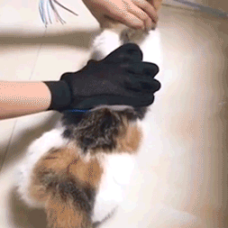 Pet Grooming Glove – AWSM Shop