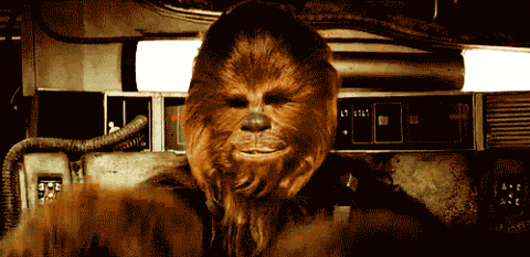 Chewbacca setting his hair