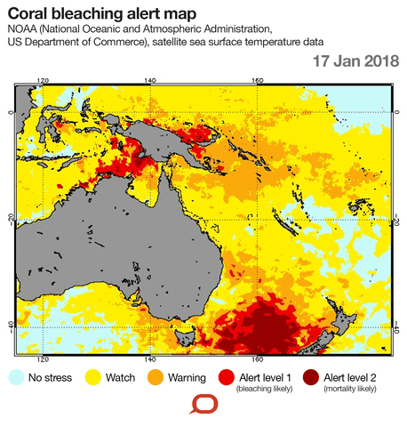 New coral bleaching outbreak in NT a worrying sign of our warming oceans