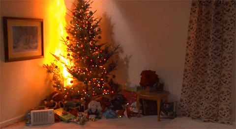 Christmas tree on fire.