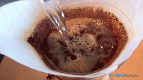 Coando café com água fervida