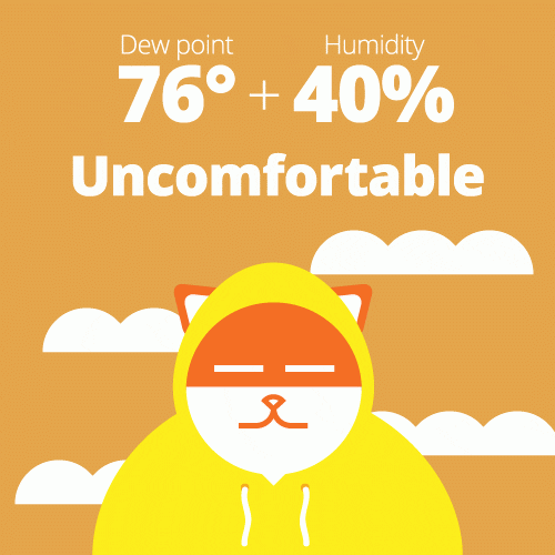 Animation Cat GIF by Poncho Find & Share on GIPHY