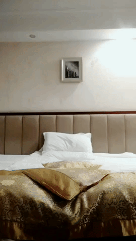 Not a king bed in funny gifs