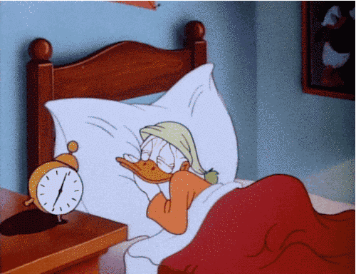 Waking Up GIF - Find & Share on GIPHY