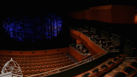 panorama of the orchestra section of a theatre from above