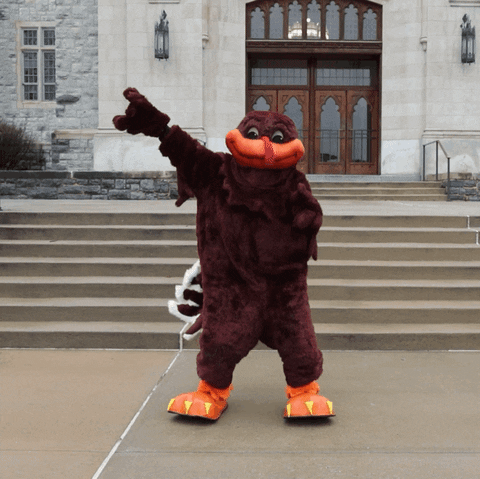 Vt Hokies GIF by Virginia Tech - Find & Share on GIPHY