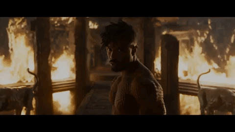 Jd Fanactivistcon GIF by Black Panther #FanActivistCon