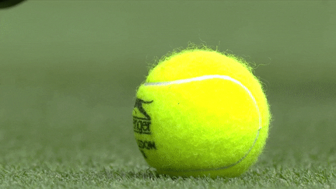 Image result for tennis ball gif