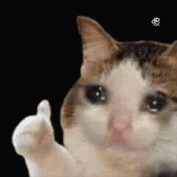 crying cat giving a thumbs up