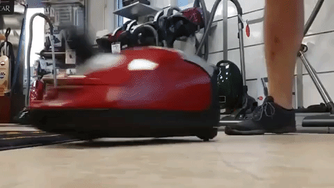 giphy.gif
