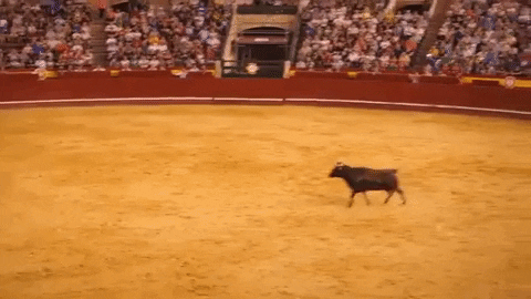 Bull Jumping Valencia
