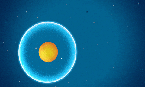 Cell Division Animated GIF