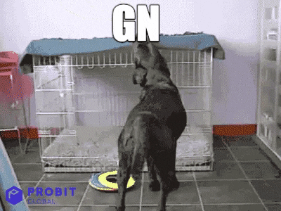 a dog getting cozy in it's kennel

Dog Meme GIF By ProBit Global
https://media.giphy.com/media/643KIWcqBB194kJhln/giphy.gif