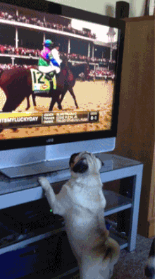 Cliffhanger GIFs - Find & Share on GIPHY