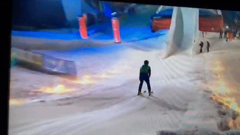 The Jump GIF by The Telegraph