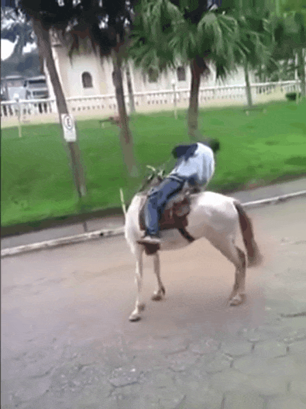 Gif of very drunk man slowly thrown off circling horse