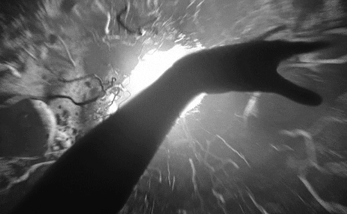 black and white falling gif find amp share on giphy black and white falling gif find amp share on giphy