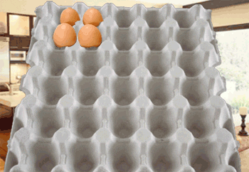 Egg GIF - Find & Share on GIPHY