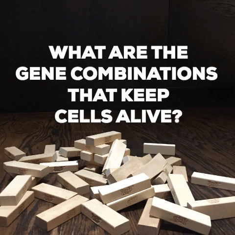 Genome GIF - Find & Share on GIPHY