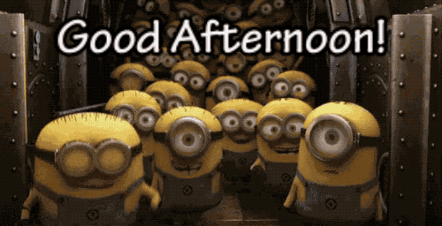 Image result for good afternoon gif minion