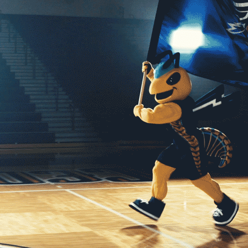 Yellow Jackets GIFs Find & Share on GIPHY