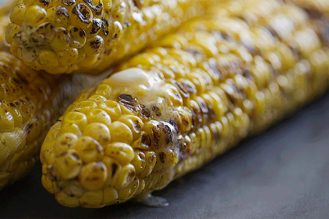 Food Porn Corn Gif Food Porn Corn Gif