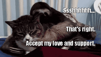 Gif de uma preguiça abraçando um gato. Está escrito, em inglês: “shh… tudo bem, aceite meu amor e ajuda.”.