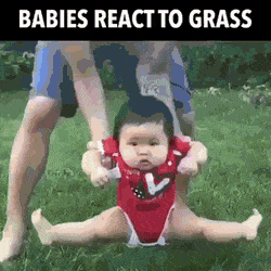 Babies react to grass in funny gifs