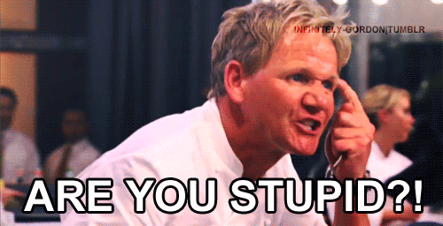 ARE YOU STUPID?! ARE YOU meme reference
