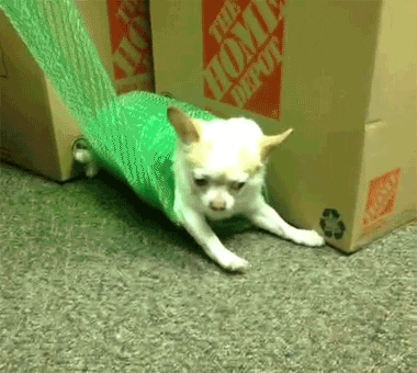 Home Depot Spinning GIF