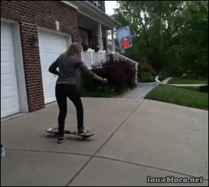giphy.gif