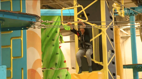 giphy.gif