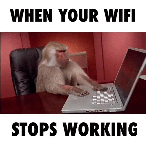 No Wi-Fi or sloppy Wi-Fi
