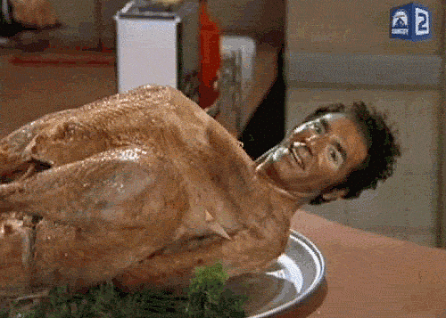Turkey GIF - Find & Share on GIPHY