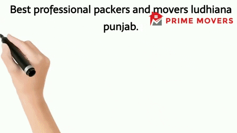 Genuine Professional Packers and Movers services Ludhiana